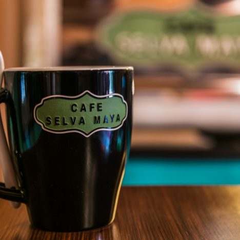 Selva Maya Coffee & Hotel Posada del Hidalgo
